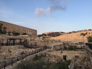 Jerusalem Temple & Mt of Olives